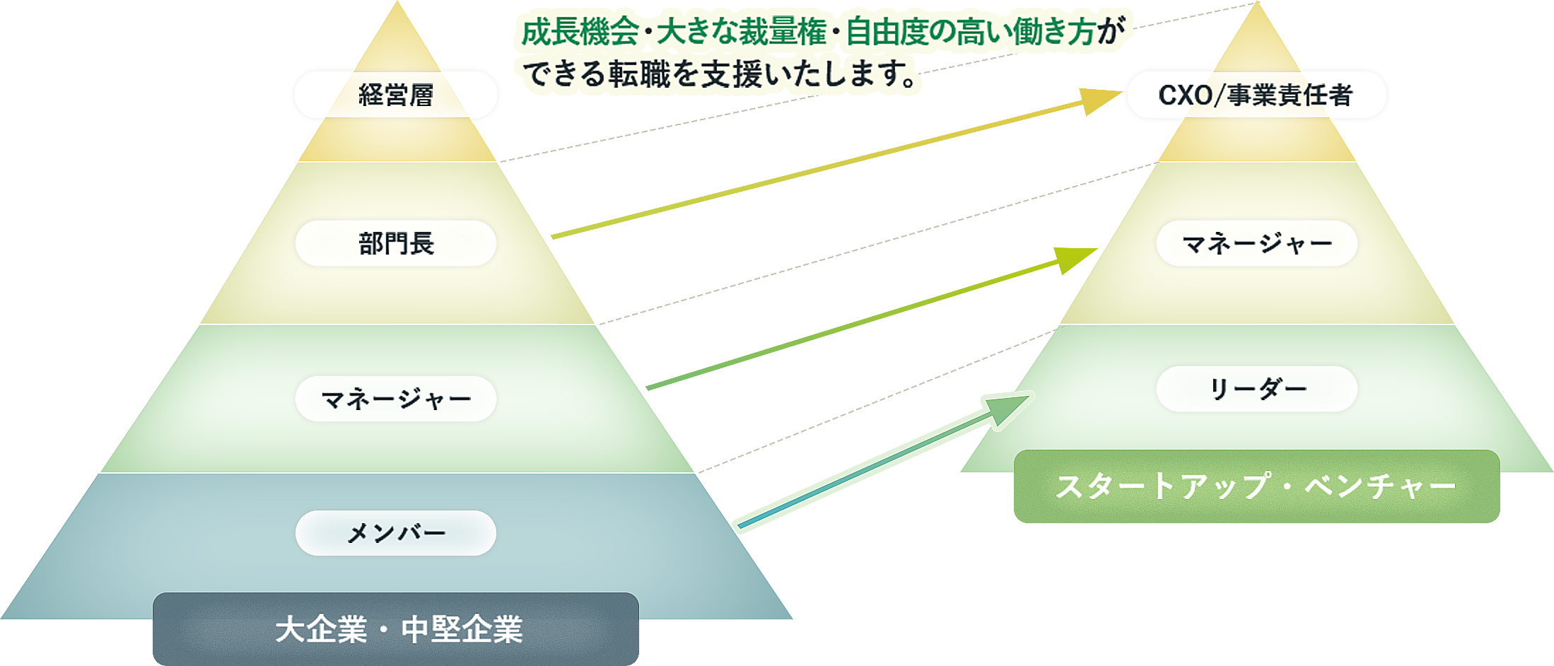 更なる活躍の場が、きっとある。